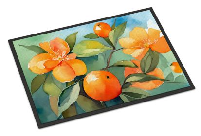 NEW Florida Orange Blossom in Watercolor Doormat Front Door Mat Indoor Outdoor Rugs for Entryway, Non Slip Washable Low Pile, 18H X 27W